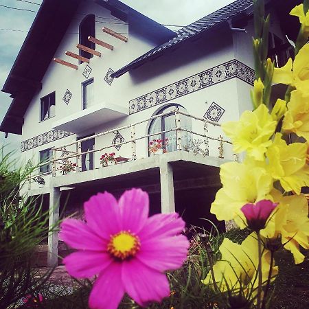 Casa Aureliana Villa Ciocanesti Bagian luar foto