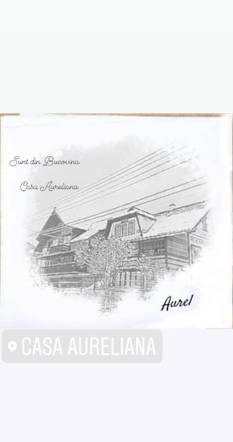 Casa Aureliana Villa Ciocanesti Bagian luar foto