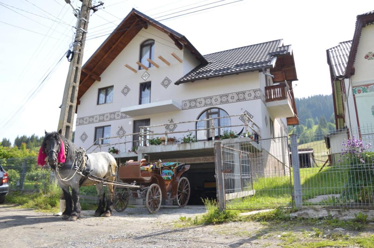 Casa Aureliana Villa Ciocanesti Bagian luar foto